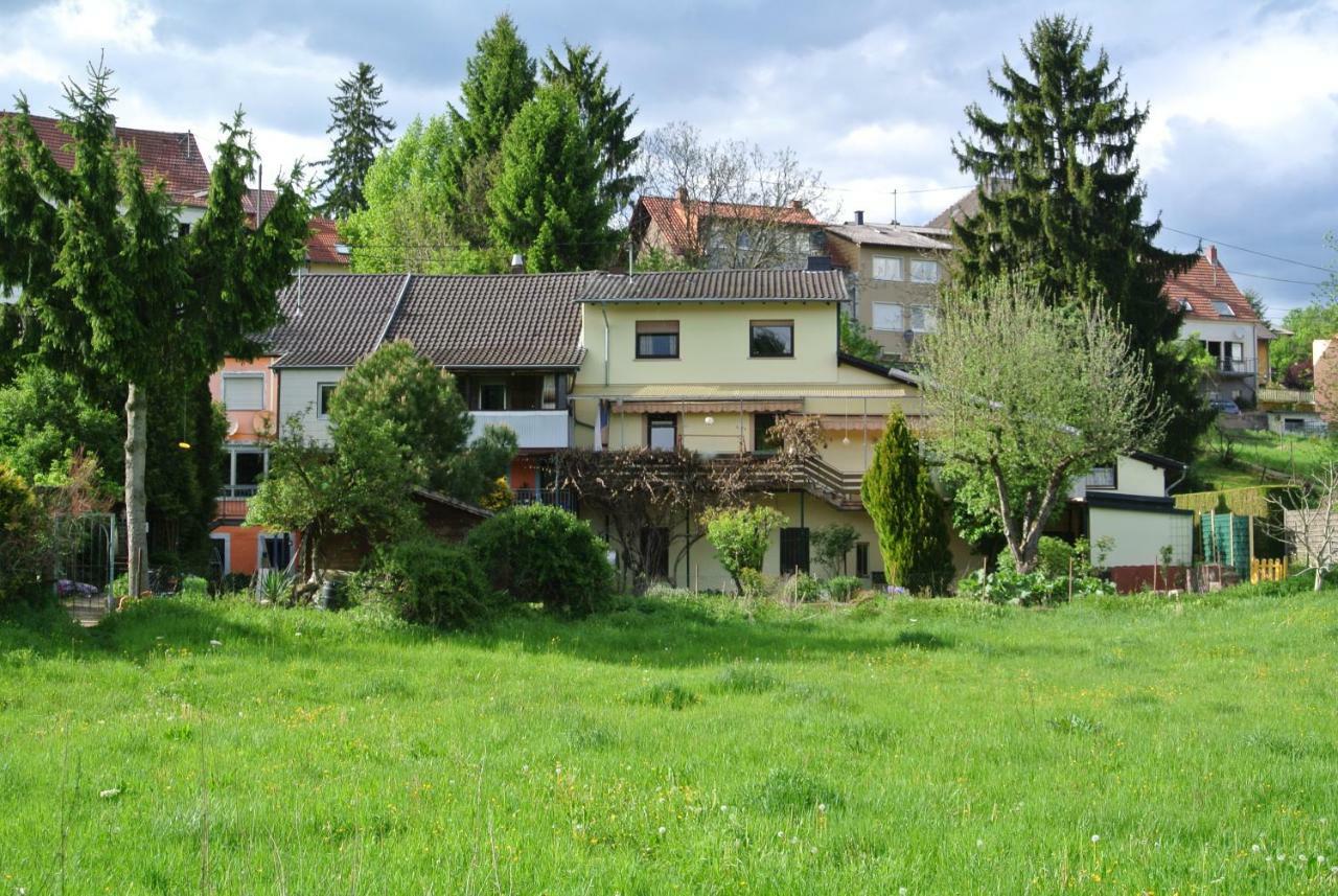 Ferienwohnung Zur Muehle Sotzweiler Kültér fotó