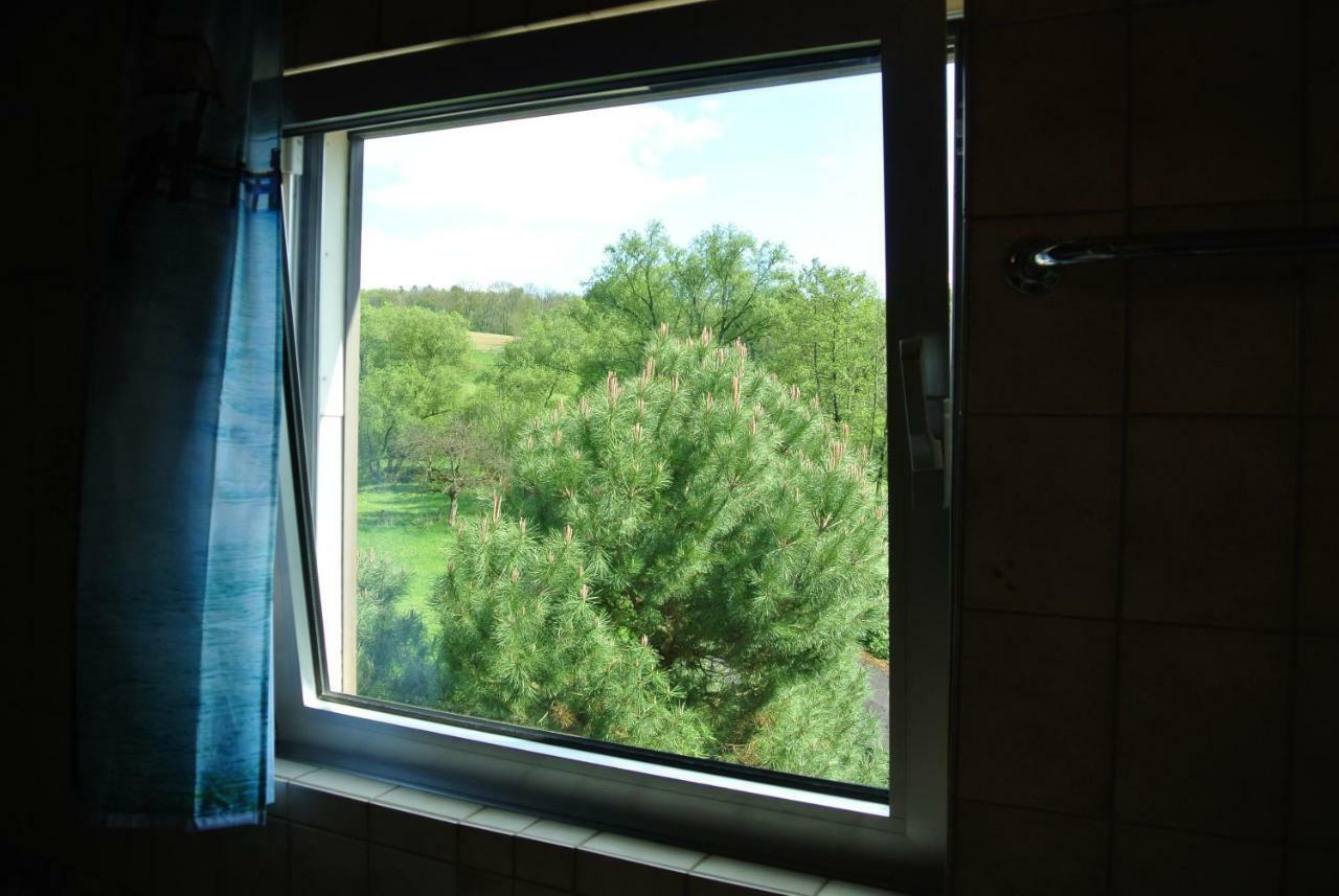 Ferienwohnung Zur Muehle Sotzweiler Kültér fotó