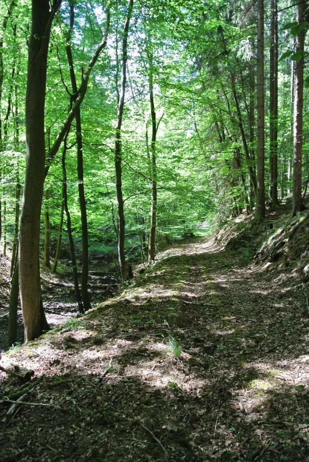 Ferienwohnung Zur Muehle Sotzweiler Kültér fotó